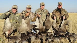 2013-Waterfowl-Pictures-001.jpg