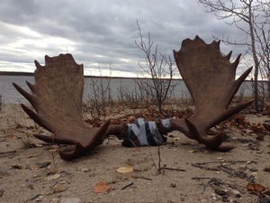 2016-Manitoba-Moose-Hunt-5725.jpg