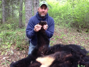 BEAR20141.jpg