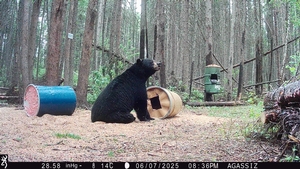 IMG_0947.jpeg
