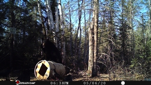 Manitoba%20Bear%20Hunts%2042.JPG