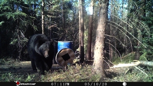 Manitoba%20Bear%20Hunts%2056.JPG