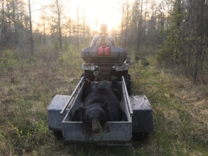 Manitoba-Bear-Hunting-271.jpg