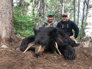 Manitoba-Bear-Hunting-491.jpg