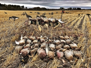 Manitoba-Waterfowl-Hunting-1.jpg