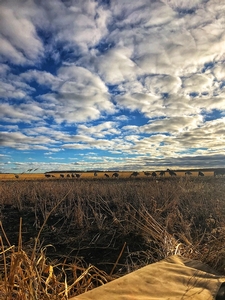 Manitoba-Waterfowl-Hunting-21.jpg