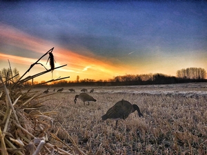 Manitoba-Waterfowl-Hunting-32.jpg