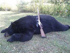 Manitoba-black-bear-hunting-123.jpg