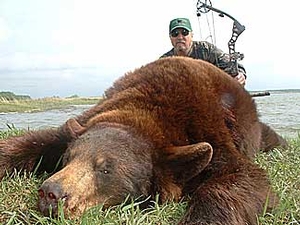 Manitoba-black-bear-hunting-1311.jpg