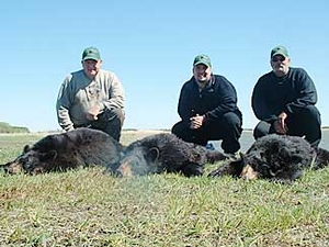 Manitoba-black-bear-hunting-182.jpg