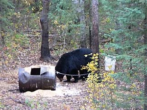 Manitoba-black-bear-hunting-188.jpg