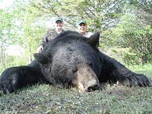 Manitoba-black-bear-hunting-207.jpg