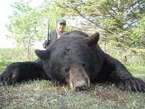 Manitoba-black-bear-hunting-311.jpg