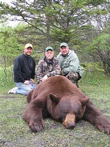 Manitoba-black-bear-hunting-481.jpg