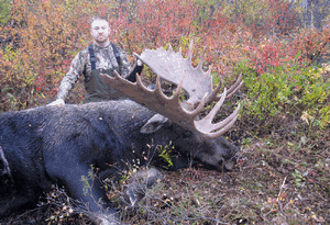 N-Pinckney-Moose-2011.gif