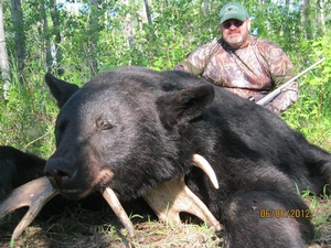 bear-2012-0071.jpg