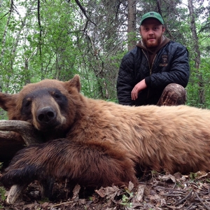 Black Bear Hunts