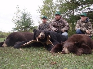 bear_hunting_20100212_14817982231.jpg