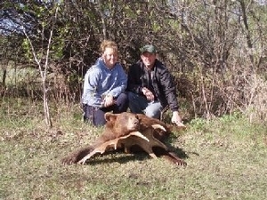 bear_hunting_20100212_16715987571.jpg