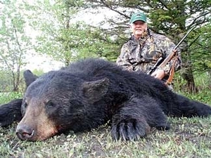 bear_hunting_20100212_18786687371.jpg