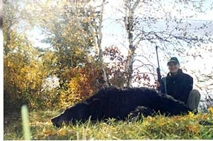 bear_hunting_20100212_20047340211.jpg