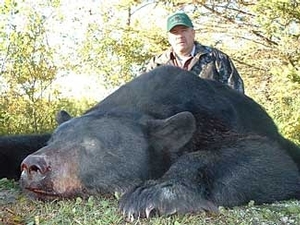 bear_hunting_20100212_20178474761.jpg