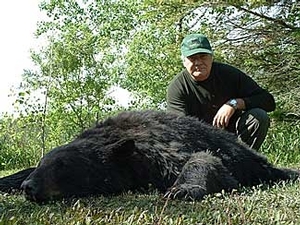 bear_hunting_20100212_20388400131.jpg