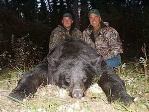 bear_hunting_20100212_20609730411.jpg