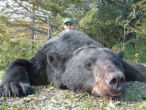 bear_hunting_20100212_20874279461.jpg