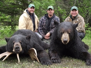 bear_hunting_20100711_10890597221.jpg