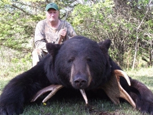 bear_hunting_20100711_14271925641.jpg