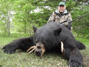 bear_hunting_20100711_14680457201.jpg