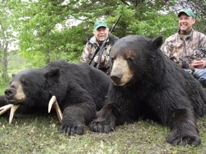 bear_hunting_20100711_15070714851.jpg