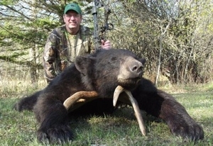 bear_hunting_20100711_1575172661-400x2751.jpg