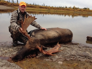 mb-moose-2015-007.jpg