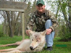 wolf%20picture%20fall%202011.jpg