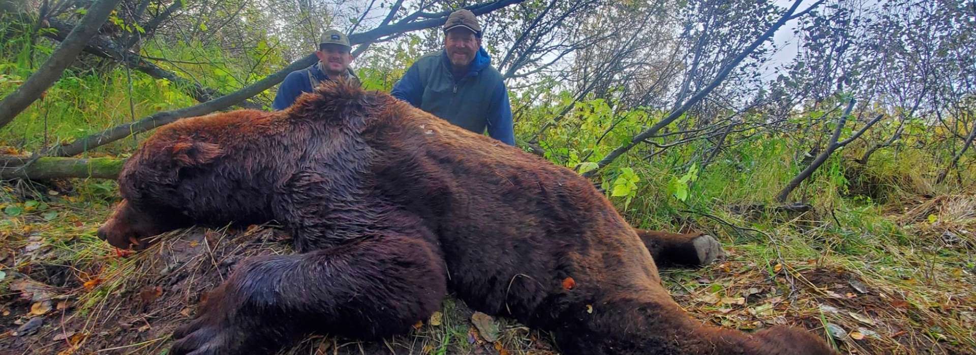 Guided Baited Brown Bear/Black Bear Hunts