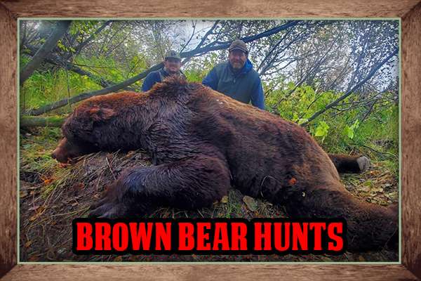 Alaska Guide & Outfitting Service Guided Bear Hunts