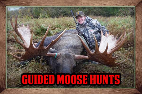 Alaska Guide & Outfitting Service Guided Moose Hunts