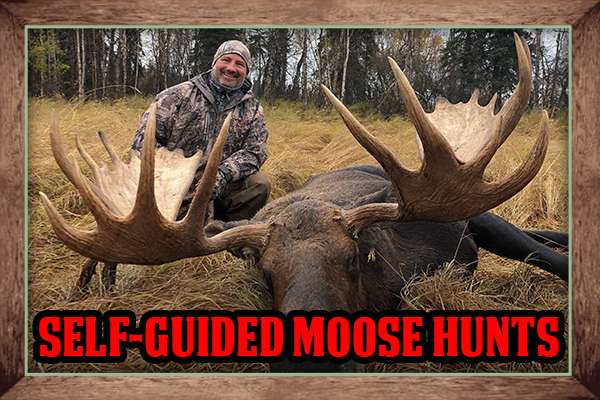 Alaska Guide & Outfitting Service Self-Guided Moose Hunts