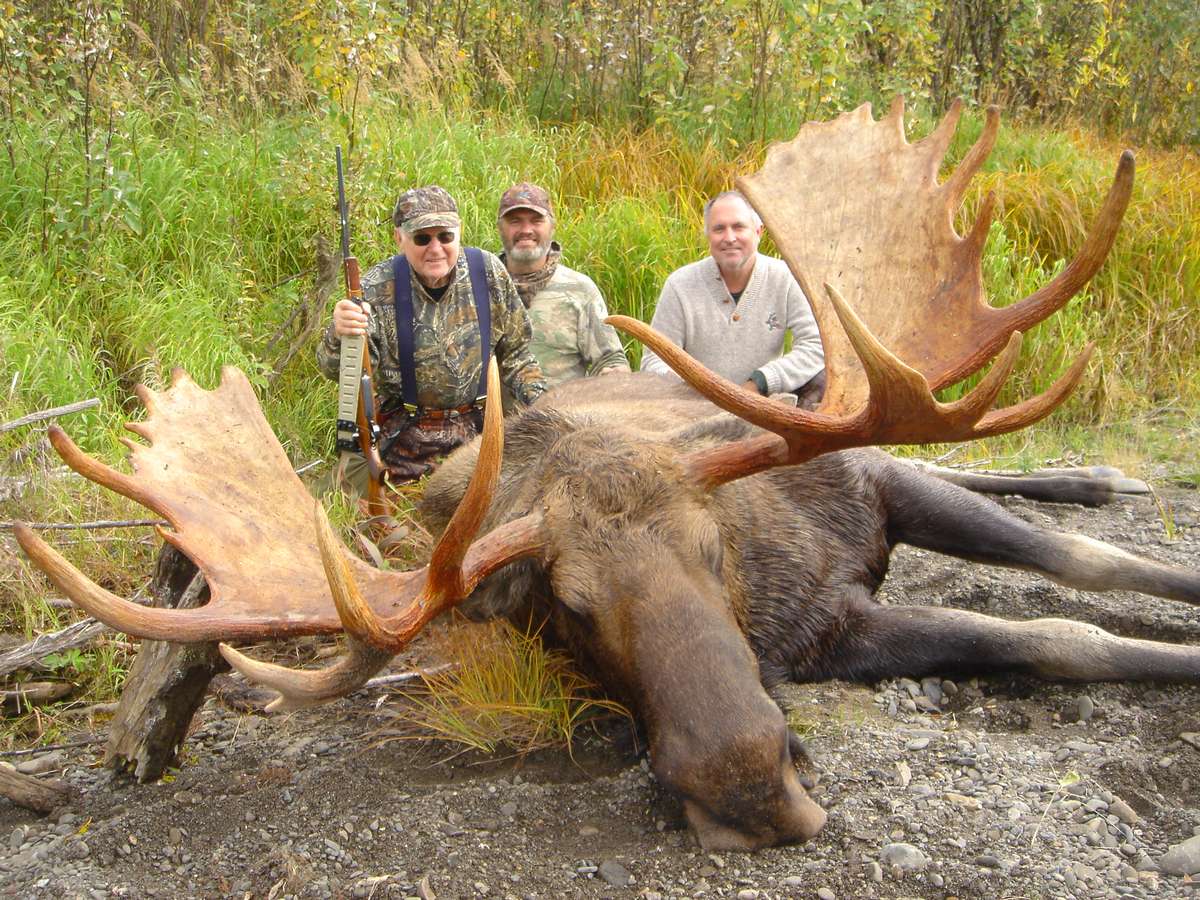Moose Hunting Conditions & Areas