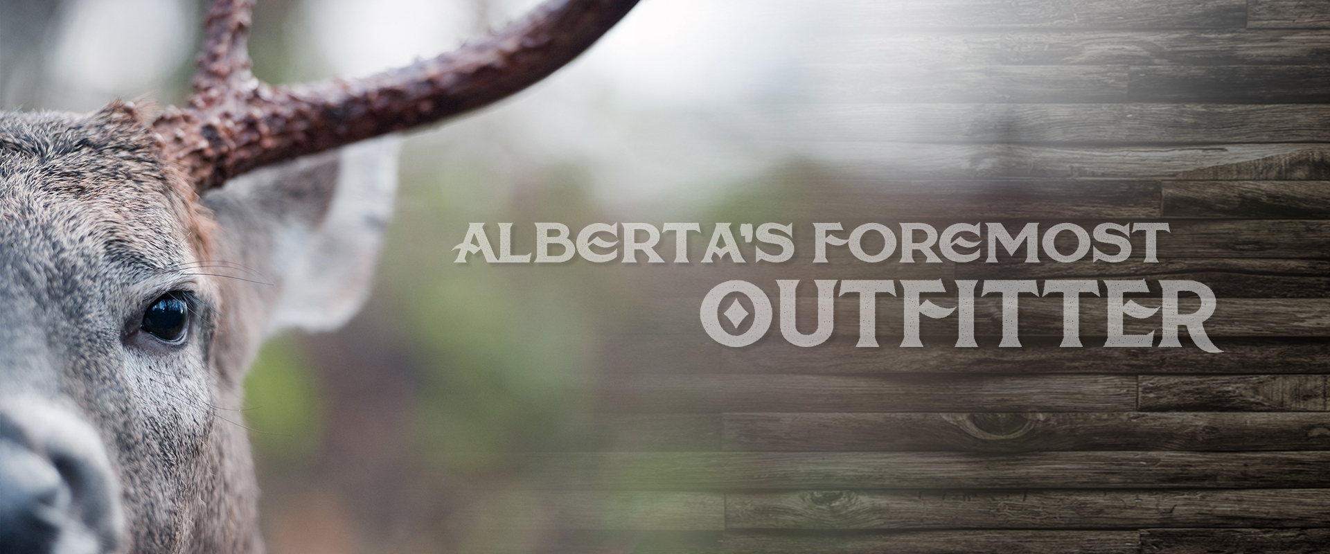 Alberta Dark Horn Ltd