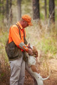 south-carolina-quail-hunting-dogs-guides05%20copy.jpg