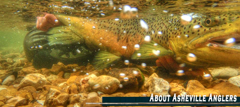 About Asheville Anglers Guide Service