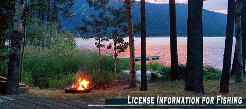 License Information | What you need to know