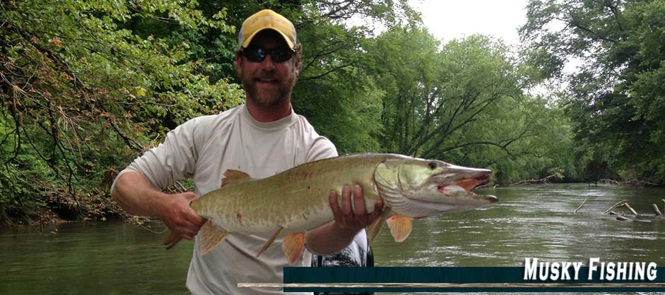 Musky Fishing with Asheville Anglers