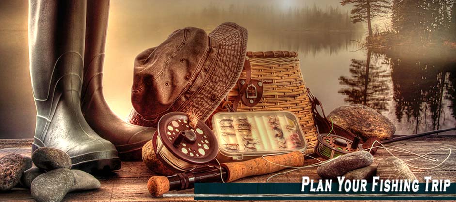Plan Your Fishing Trip With Asheville Anglers