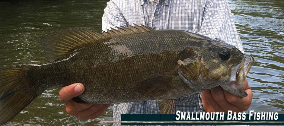 Smallmouth Bass Fishing | Fishing Outfitter