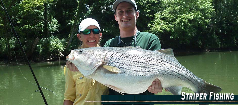 Striped Bass Fishing with Asheville Anglers