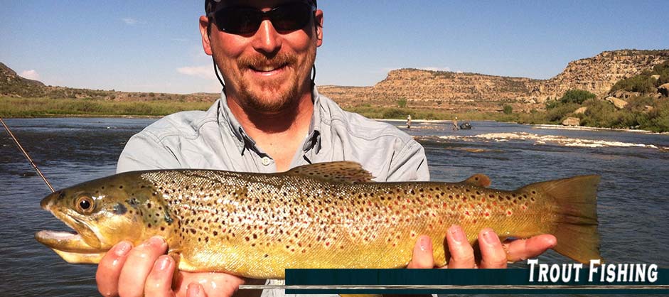 Trout Fishing with Asheville Anglers